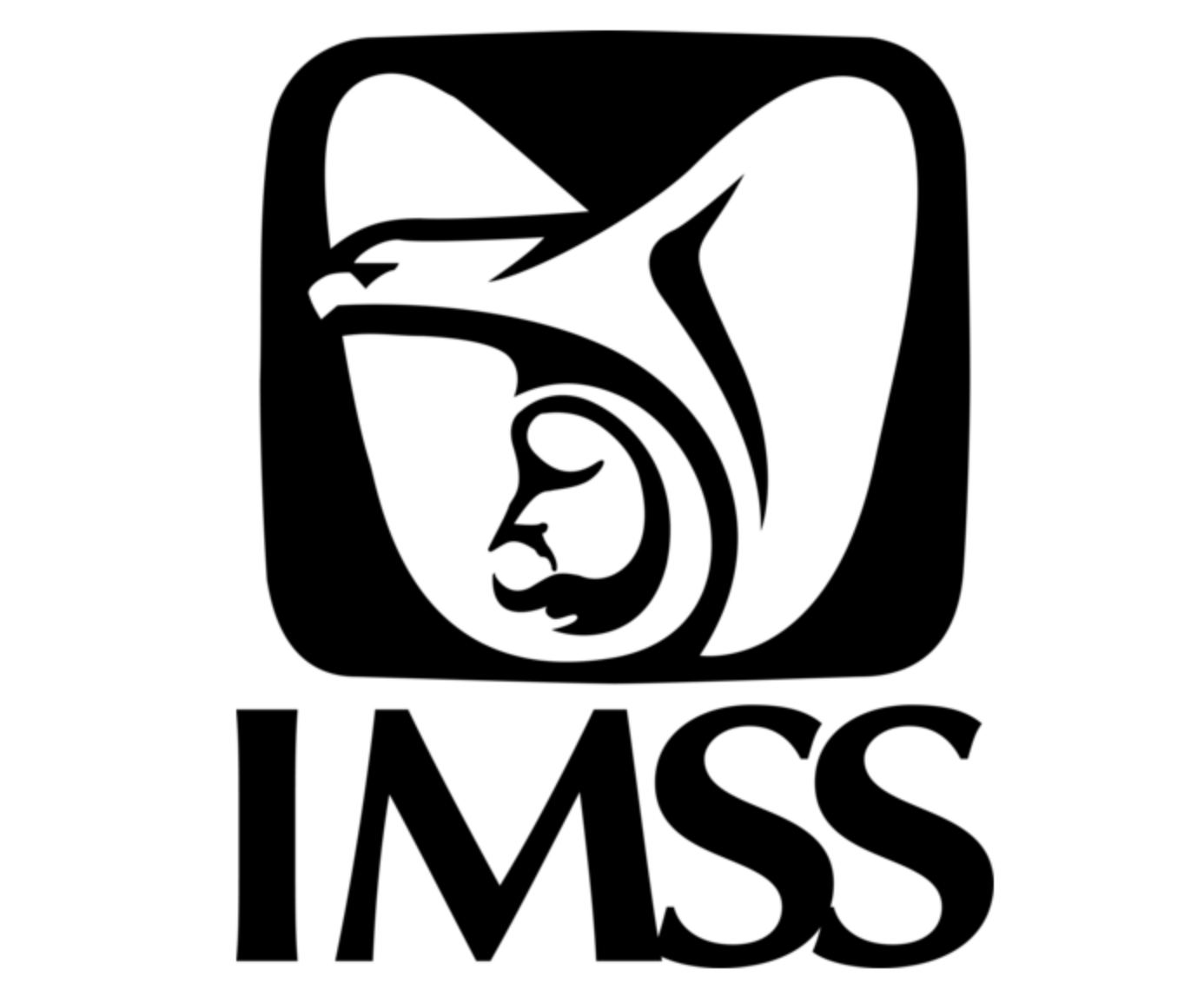 NUMERO DE SEGURO SOCIAL NSS IMSS -  8am a 8pm